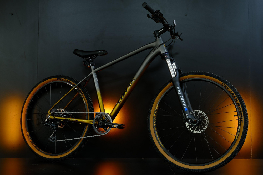 LORAK 7.0 9 sp Матовый Серый/Золотой 19р (на рост 171-182)