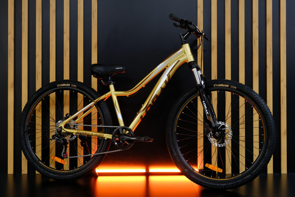 LORAK GLORY 9 Золотисто Серый рама 15 (на рост 141-160)